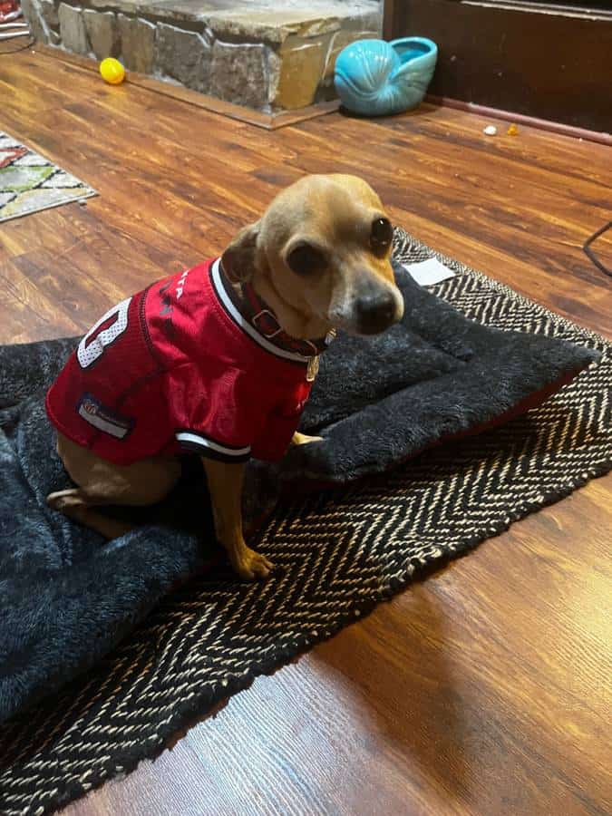Min pin image 1