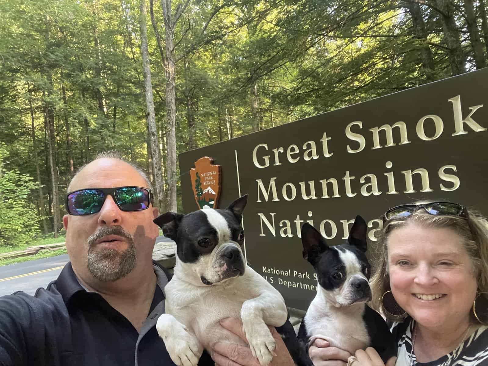 Looking to adopt over 1 year image 1