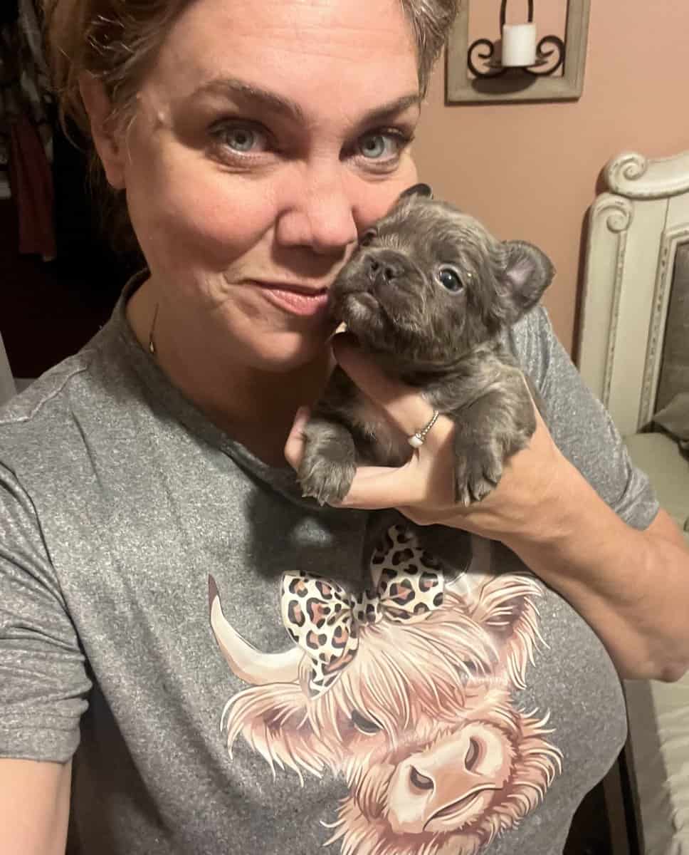 French Bulldog Puppies image 4