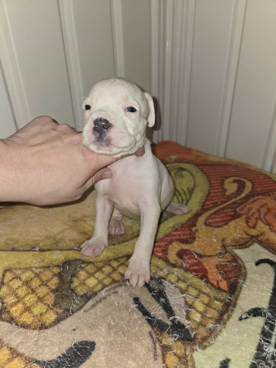 Baby image 1