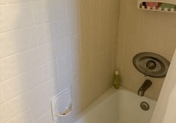 Male and Female Parakeets