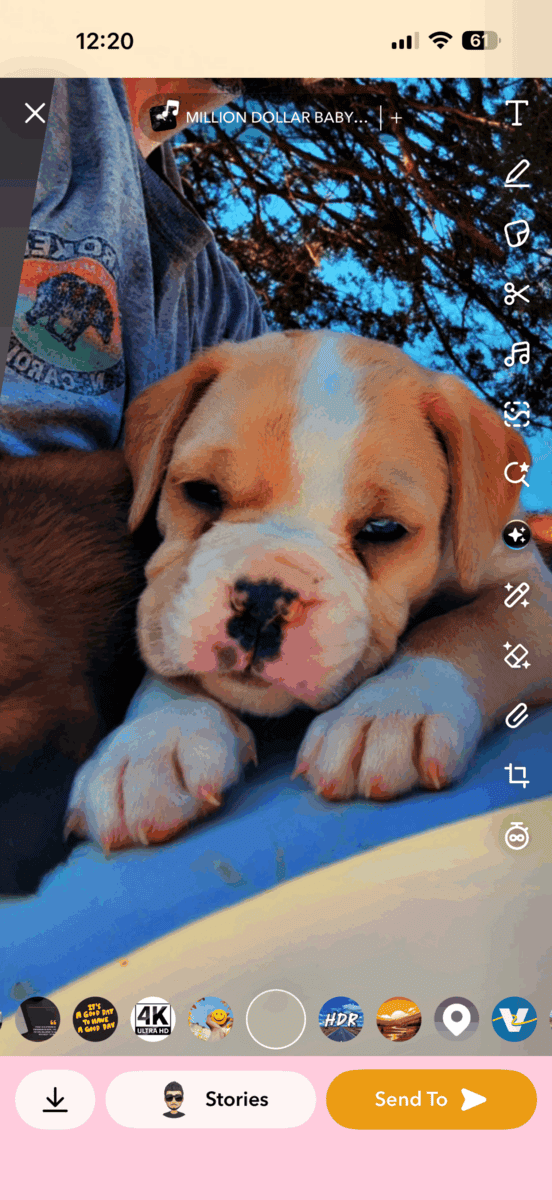 I have 2 two boxers left image 1