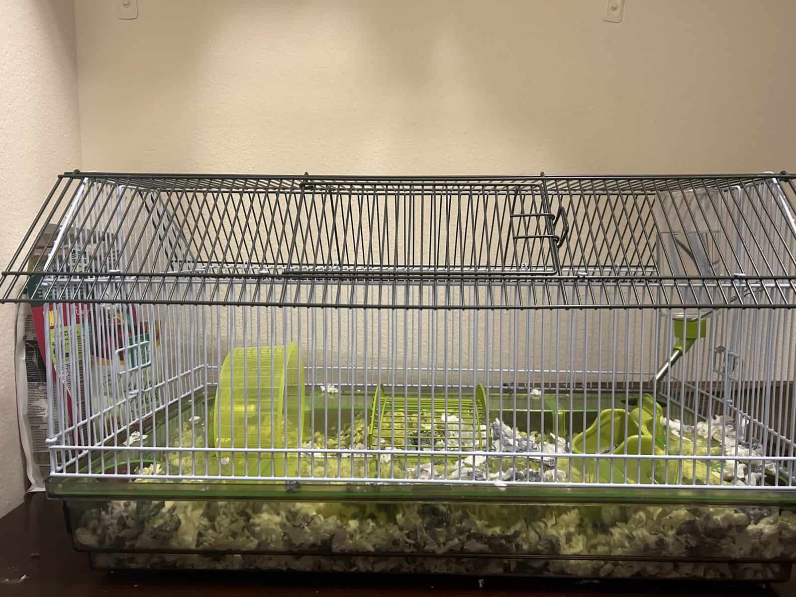 White Winter Dwarf Hamster ! & Cage/Bedding/Food image 4