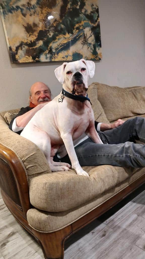 Jack needs a loving home! image 2