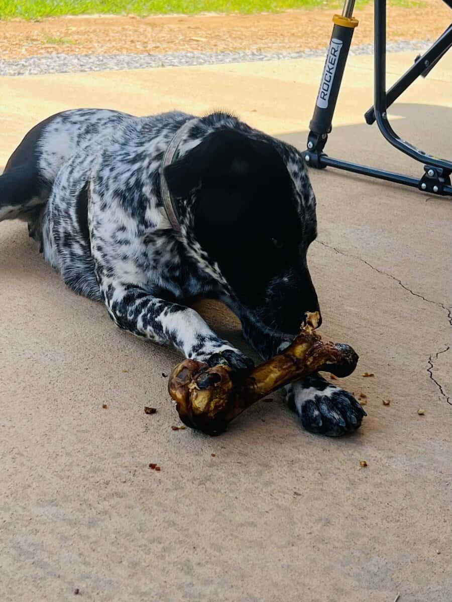 Riggs and Pepper image 2