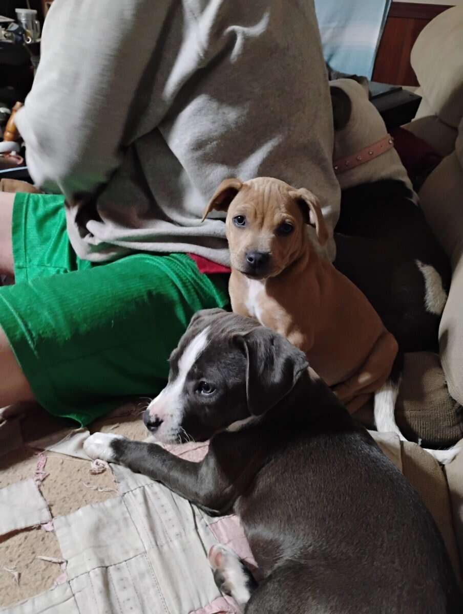 My baby's baby's. image 7
