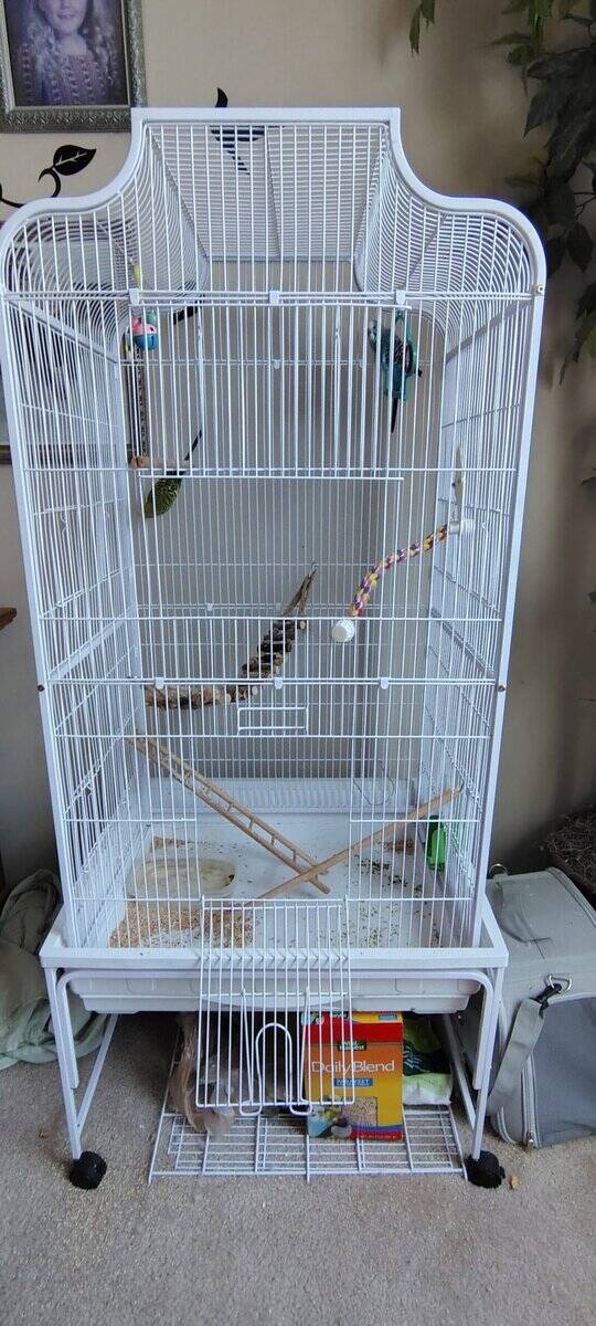 Birds with cage image 4