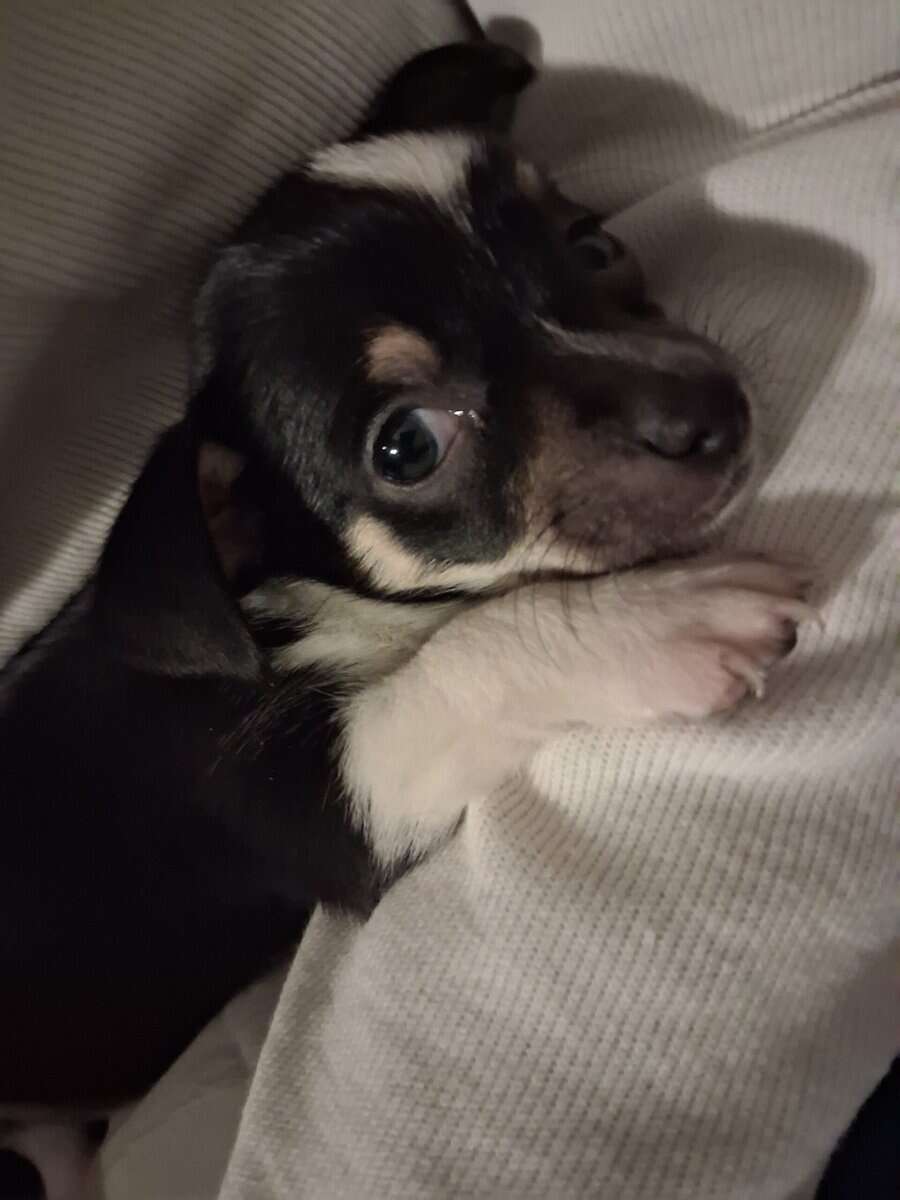 Little bundle of boy joy image 1
