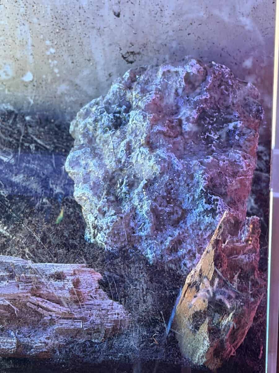 Purple Pink Tor image 2