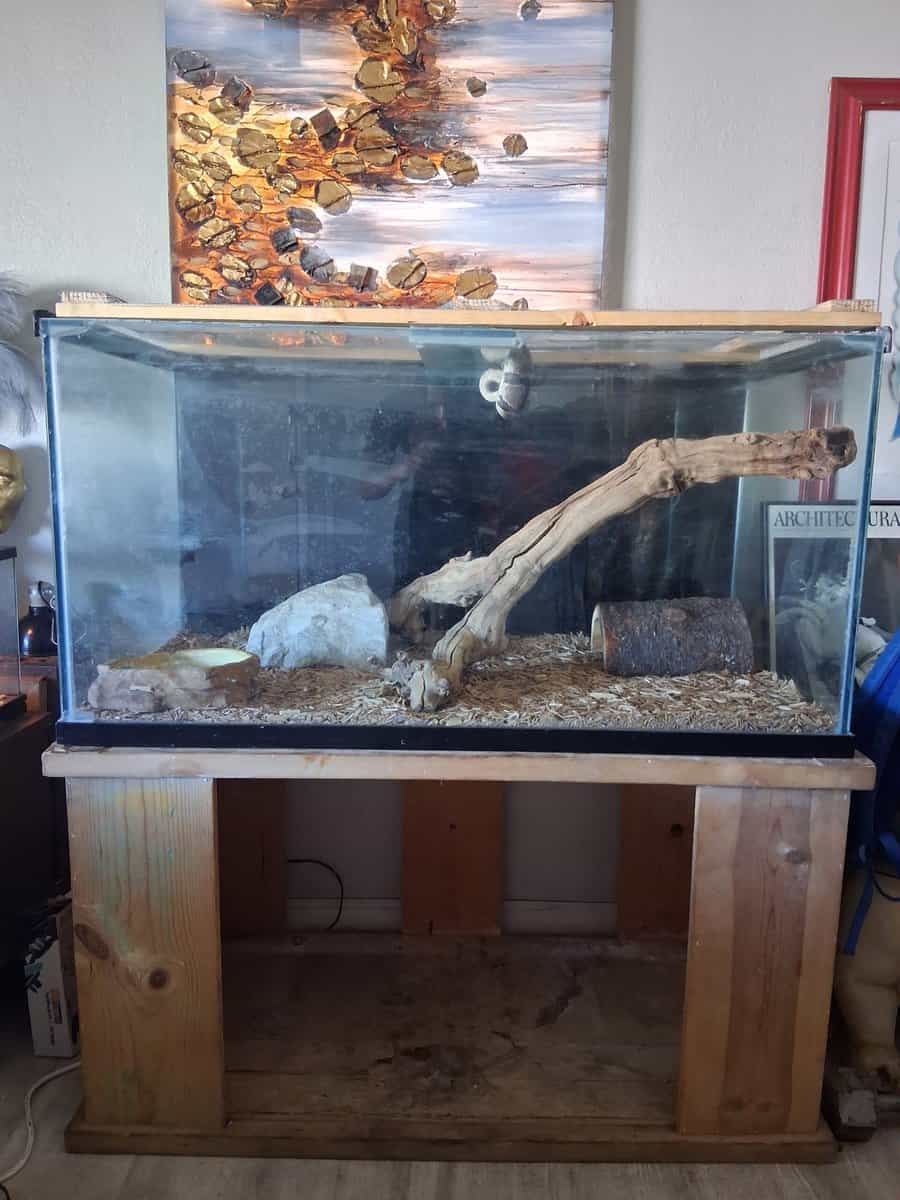 Reptile tank/ Fish tank image 1