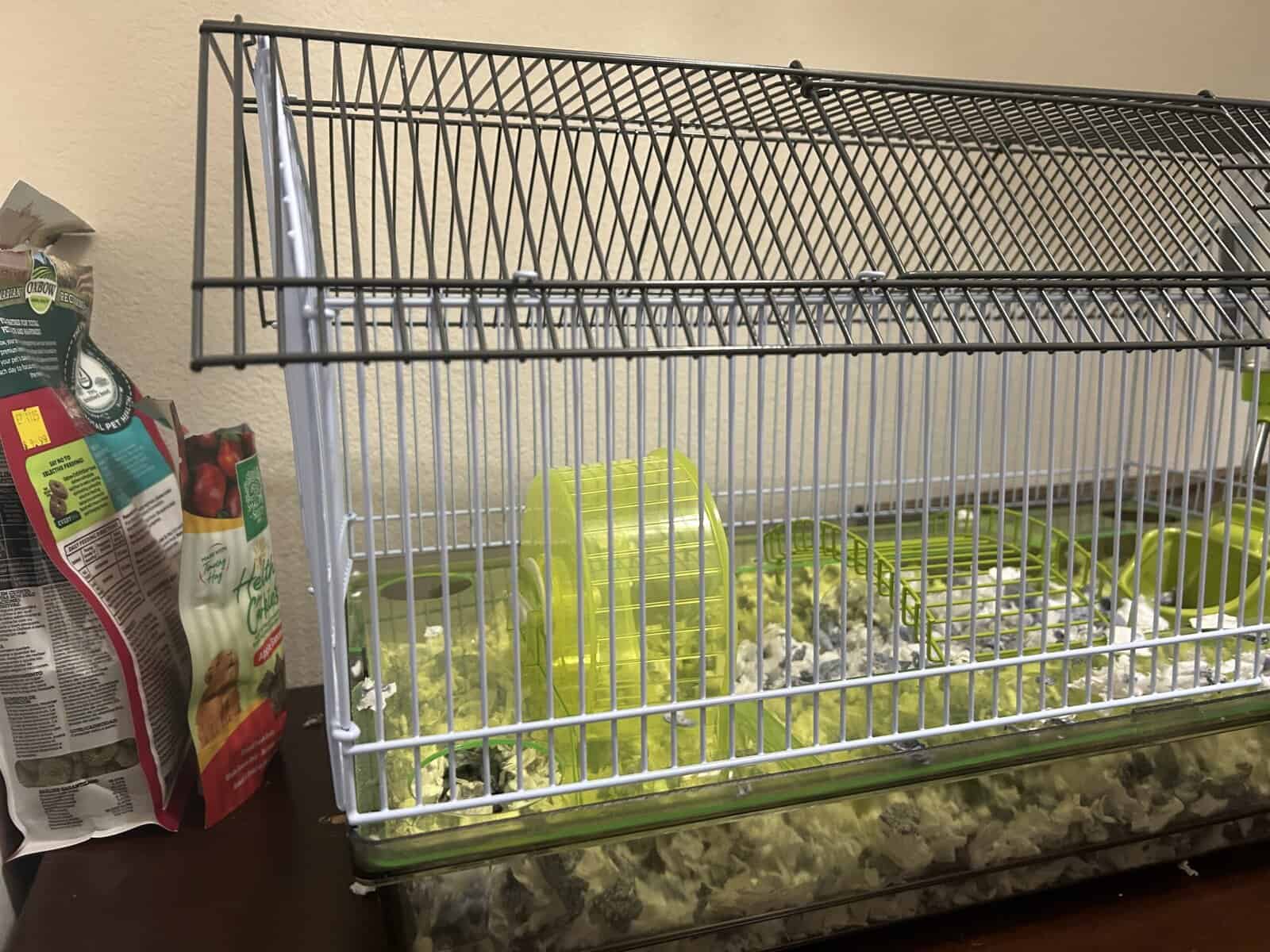 White Winter Dwarf Hamster ! & Cage/Bedding/Food image 3