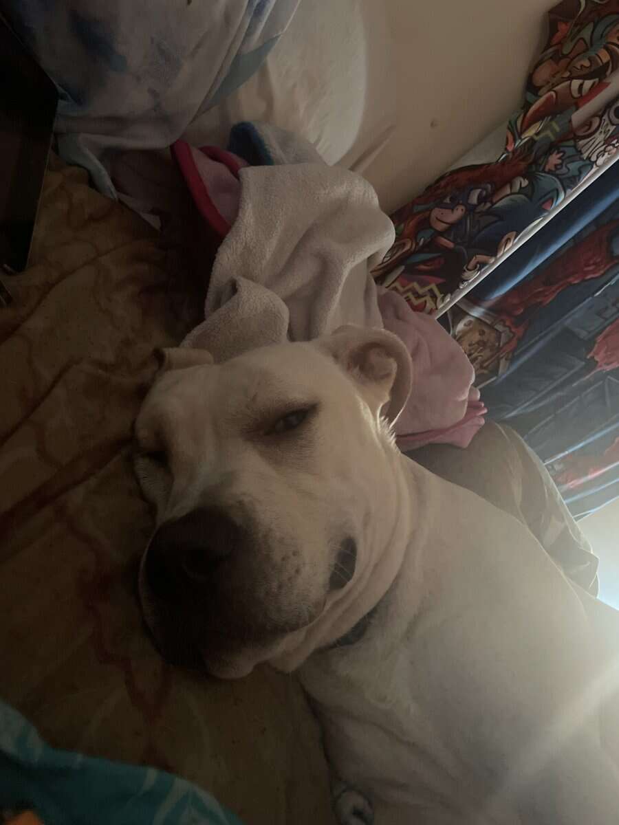 Max!! image 3
