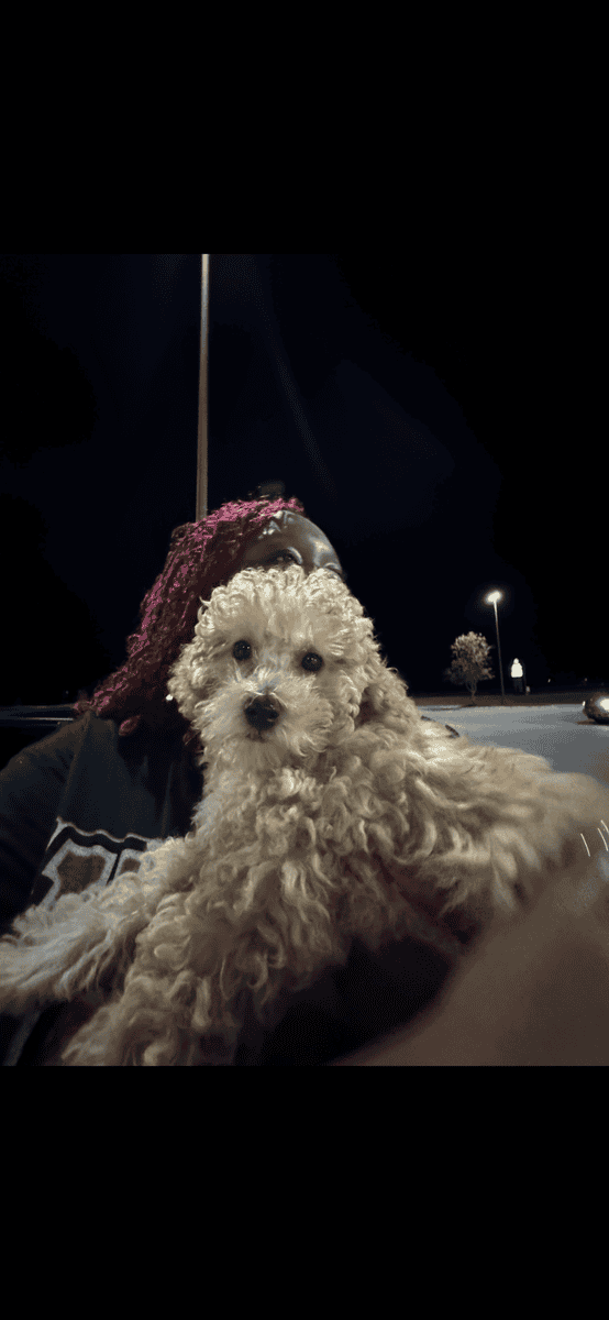 Cash Johnson image 6