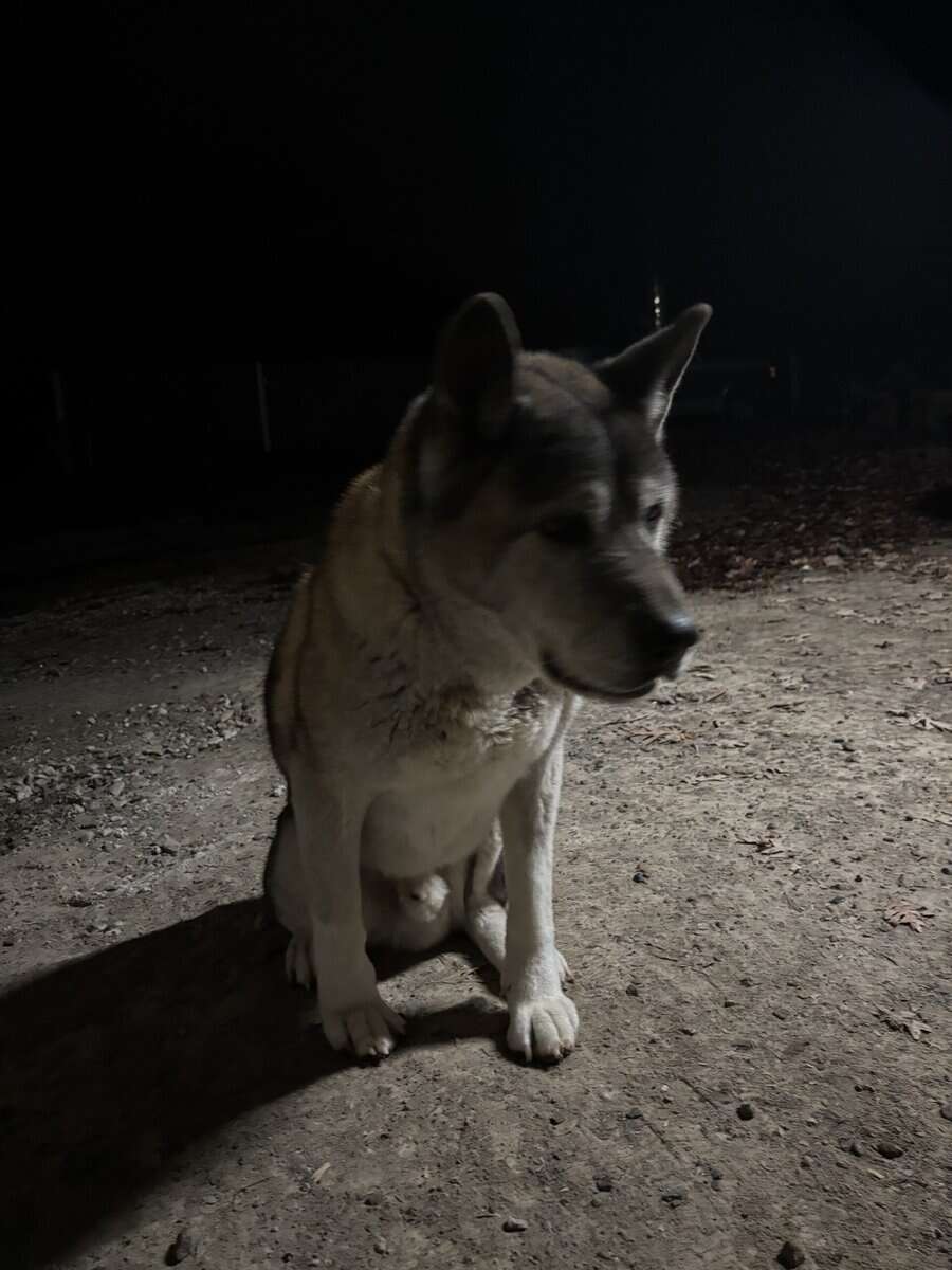 Max image 4