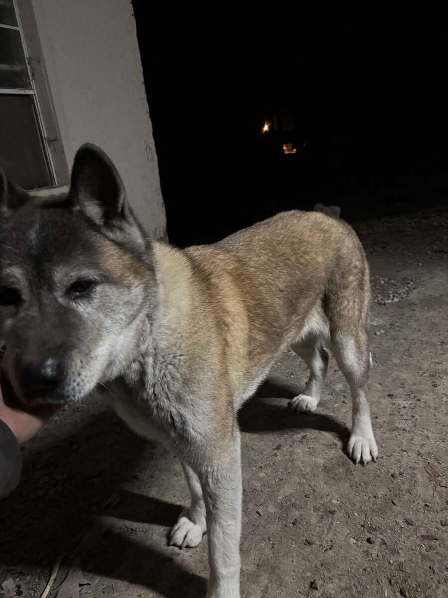 Max image 3