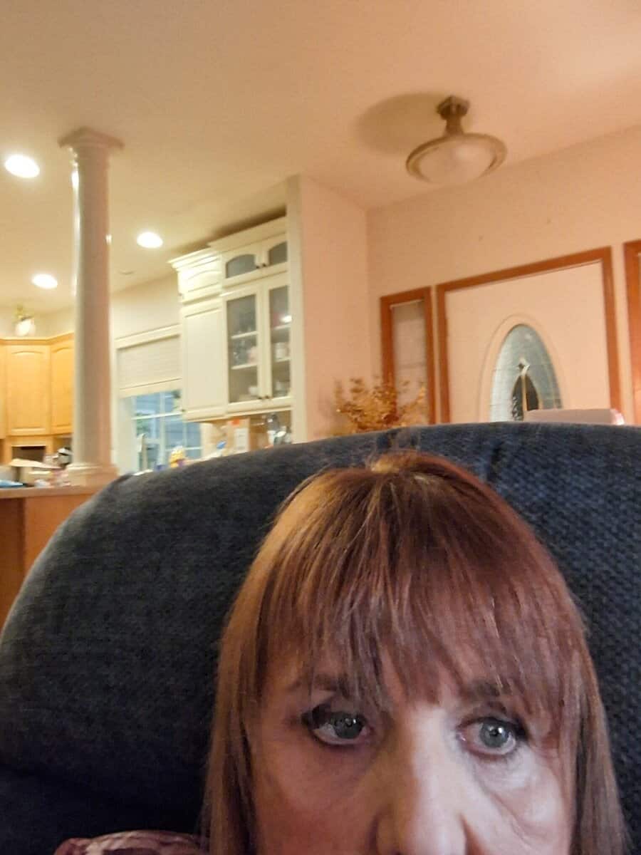 Want free female adult kitty who likes Shih Tzu's. image 1