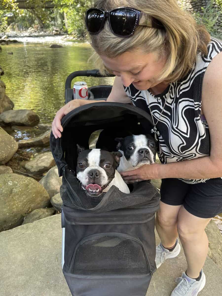 Looking to adopt over 1 year image 4