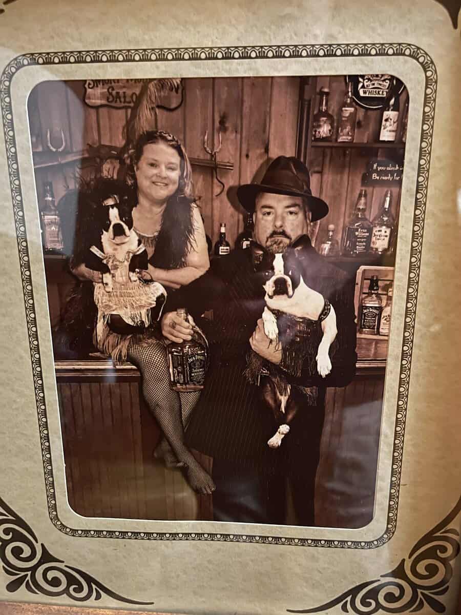 Looking to adopt over 1 year image 2