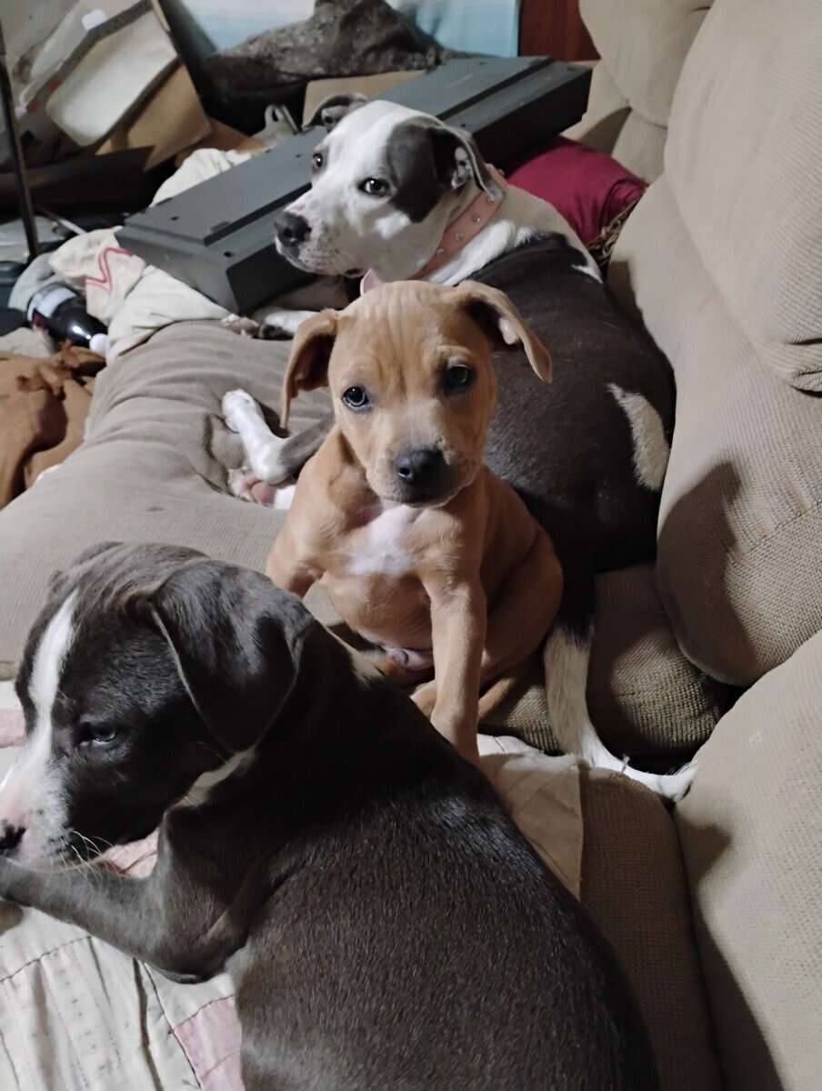 My baby's baby's. image 5
