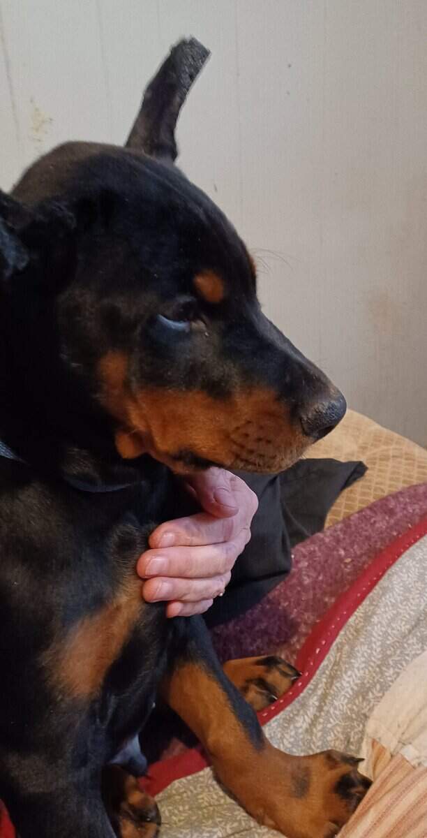 Gretta image 1