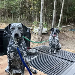 Riggs and Pepper