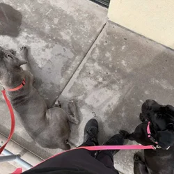 We Need A Loving Home