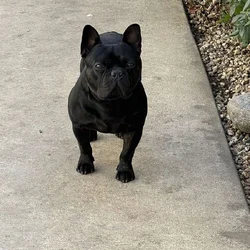 Rehome