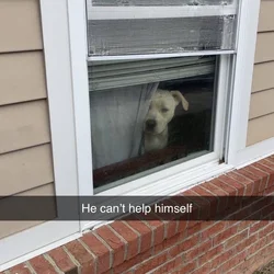 Max!!