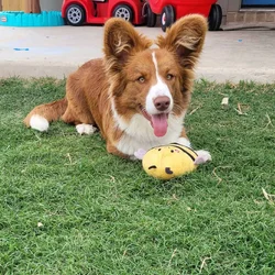 female 1 yr cardigan