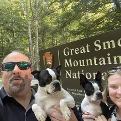 Looking to adopt over 1 year