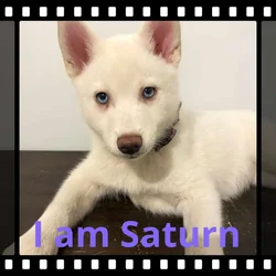 Saturn