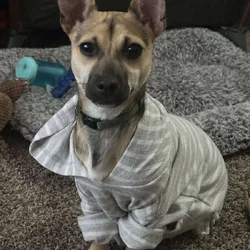 Rehome wanted!
