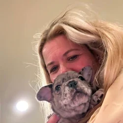 FRENCHIES FULL AKC