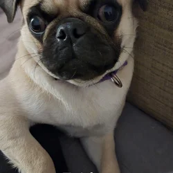 Ms. Faith