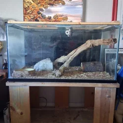 Reptile tank/ Fish tank