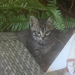 Looking for a good home