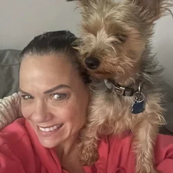 Rehome Yorkie Dog