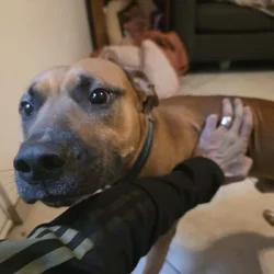 Need a home for Zeus