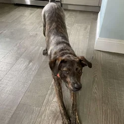 Sweet, energetic boy