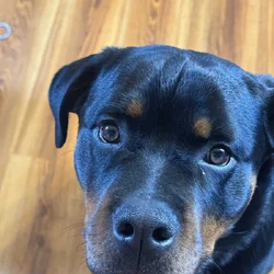 Duncan 8 months