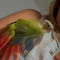 Thumbnail 16