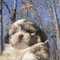 Thumbnail 13