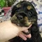 Thumbnail 14