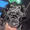 Thumbnail 20