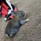 Thumbnail 14