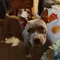 Thumbnail 22
