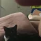 Thumbnail 20
