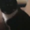 Thumbnail 19