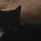 Thumbnail 24