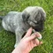 Thumbnail 22
